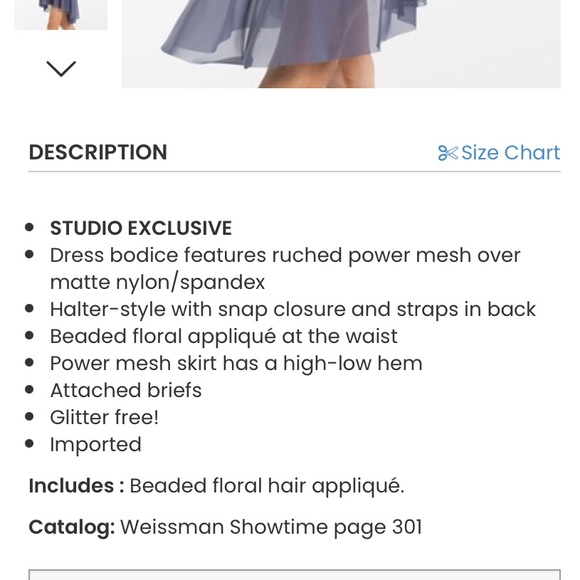 Weissman Touching Heaven Dance Costume 13434 - Picture 3 of 5